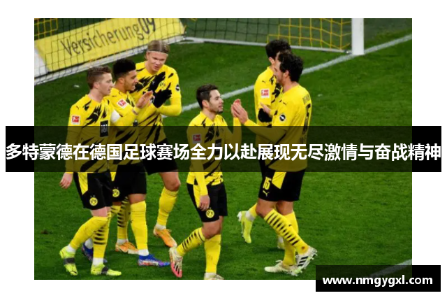 多特蒙德在德国足球赛场全力以赴展现无尽激情与奋战精神