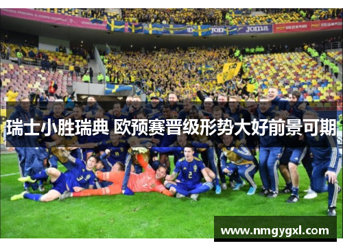 瑞士小胜瑞典 欧预赛晋级形势大好前景可期