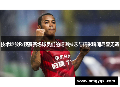 技术绽放欧预赛赛场球员们的精湛技艺与精彩瞬间尽显无遗