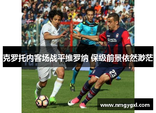 克罗托内客场战平维罗纳 保级前景依然渺茫